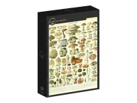Grafika: Larousse - Mushrooms (1000)