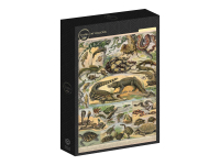 Grafika: Larousse - Reptiles (1000)