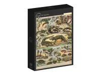 Grafika: Larousse - Reptiles (1000)