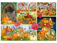 Bluebird Puzzle: Les Couleurs de l'Automne (1000)