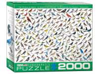 EuroGraphics: David Sibley - The World of Birds (2000)
