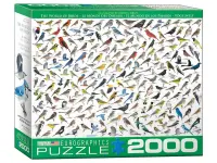 EuroGraphics: David Sibley - The World of Birds (2000)