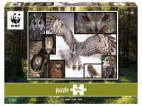 WWF Puzzle: Owls (1000)