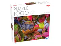 Tactic: Robin in the Autumn Leaves (1000)