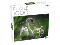 Tactic: Swan on Lake with Babies (1000)