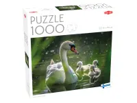 Tactic: Swan on Lake with Babies (1000)