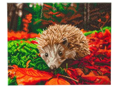 Klicka för större bild