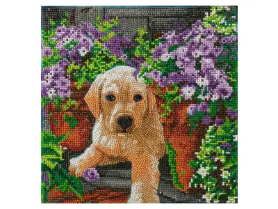 Klicka för större bild