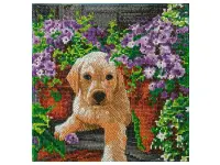 Craft Buddy: Framed Canvas Kit - Floral Pup