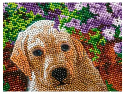 Klicka för större bild