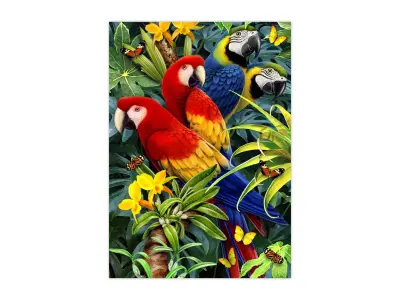 Klicka för större bild