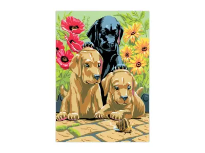 Klicka för större bild