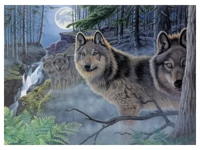 Klicka för större bild