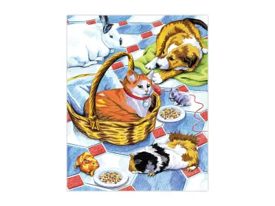 Klicka för större bild