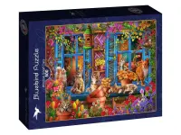 Bluebird Puzzle: Window Shelf Cats (500)