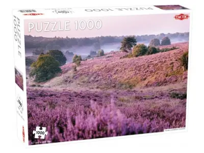 Klicka för större bild