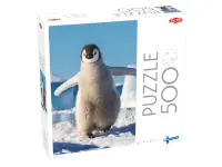 Tactic: Baby penguin (500)