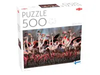 Tactic: Greater Flamingos (500)