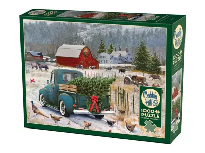 Klicka för större bild