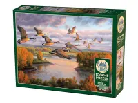 Cobble Hill: Migration (1000)