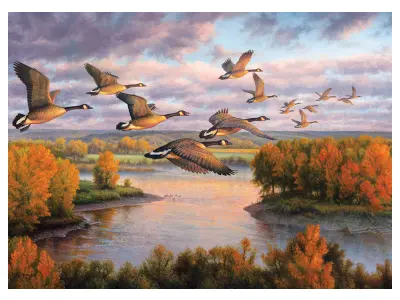 Klicka för större bild