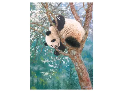 Klicka för större bild