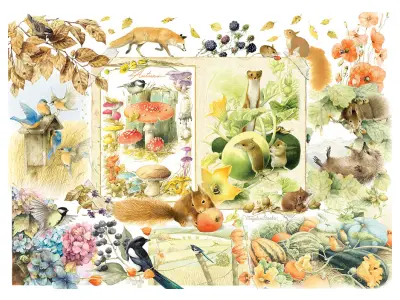 Klicka för större bild