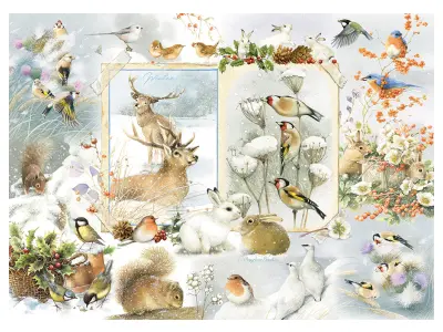 Klicka för större bild