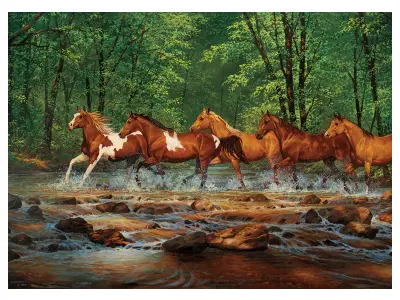 Klicka för större bild