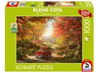 Schmidt: Blend Cota - Back Home (1000)