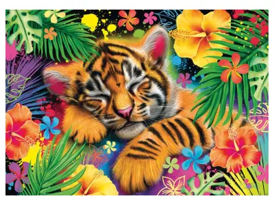 Klicka för större bild