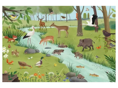 Klicka för större bild