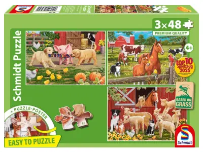 Klicka för större bild