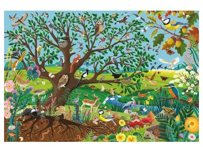 Klicka för större bild