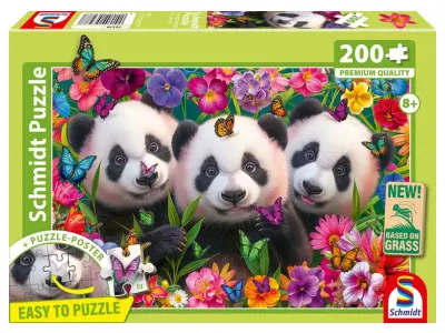 Klicka för större bild