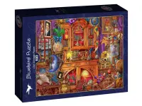 Bluebird Puzzle: Old Storage Room (500)