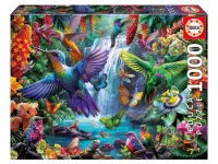 Educa: Tropical Hummingbirds (1000)