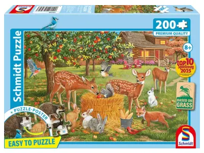 Klicka för större bild