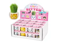 Robetoy: Grass Grow Kit - Kitten (1st)