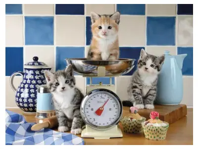 Klicka för större bild