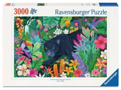 Klicka för större bild