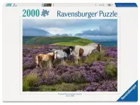 Ravensburger: Wild Horses in the Heather (2000)