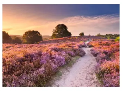 Klicka för större bild