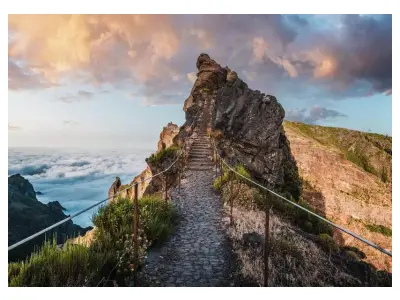 Klicka för större bild