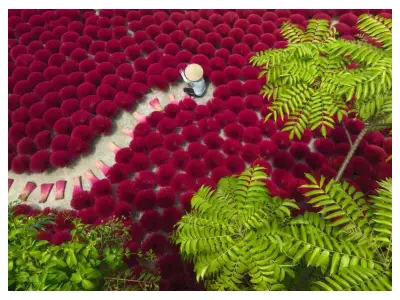 Klicka för större bild