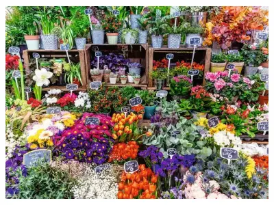 Klicka för större bild