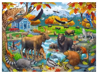 Klicka för större bild