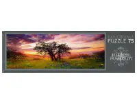 Heye: Panorama - Humboldt, Oak Tree (75)