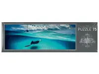 Heye: Panorama - Humboldt, Stingray (75)