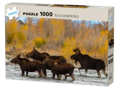 Klicka för större bild